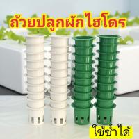 ราคา ถ้วยปลูกผักไฮโดรโปนิกส์ 50 ใบ เกรด Premium ใช้ซ้ำได้ (47300396453)