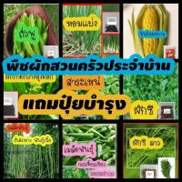 ราคา เมล็ดพืชผักสวนครัวประจำบ้านคุณภาพสูงราคาถูกแถมปุ๋ยบำรุงหลังปลูก (14999545440)