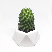 ราคา กระถางปูน กระถางกระบองเพชร กระถางต้นไม้ งานละเอียด สวยน่ารักทุกใบ (9330232107)