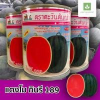 ราคา กินรี 189 แตงโมกินรี ตราตะวันต้นกล้า (1610996046)