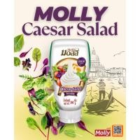ราคา MOLLY Caesar Salad Dressing มอลลี่ ซีซาร์ น้ำสลัด 300 กรัม (3450525636)