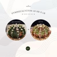 ราคา (06-2021) เมล็ด LB2178hybridด่าง x LB2178 30 เมล็ด (5339380486)