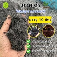 ราคา แกลบดำ วัสดุปลูกจากธรรมชาติ 1 ถุง บรรจุ 10 ลิตร เพิ่มแร่ธาตุในดิน บำรุงต้นไม้ รากพืชเจริญเติบโต (42000022184)