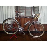 ราคา จักรยานทัวร์ริ่ง ARAYA SPECIAL RANDONNEUR (17219637018)