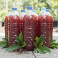 ราคา จุลินทรีย์สังเคราะห์แสง ขวด1.5ลิตร (44167787838)