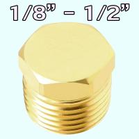 ราคา 1/8″ 1/4" 3/8" 1/2" ปลั๊กอุดหัวหกเหลี่ยม ปลั๊กอุดทองเหลือง (42952031975)