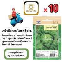 ราคา CTF1 x 10 เมล็ดผักซองเจียไต๋ ผักกาดแก้ว ไอซ์เบิร์ก คริสปี้ สลัดแก้ว สินค้ายกแพ็ค (41425189597)