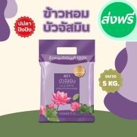 ราคา 5 กิโลกรัม ข้าวหอมสายพันธุ์จัสมิน ตราบัว ขนาด 5 กิโลกรัม 1ถุง (26480375142)