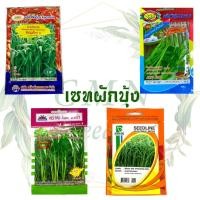 ราคา เมล็ดพันธุ์ ผักบุ้ง ผักบุ้งจีน ใบไผ่ ผักบุ้งแก้ว ผักบุ้งเย็นตาโฟ (7616920131)