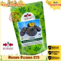 ราคา ฟักทองข้าวตอก573 เมล็ดพันธุ์ 100 ก. ตราศรแดง (5408402132)