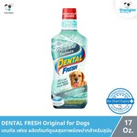ราคา DENTAL FRESH Original for Dogs - เดนทัล เฟรช ผลิตภัณฑ์ดูแลสุขภาพช่องปากสำหรับสุนัข (17 oz.) (5170413341)