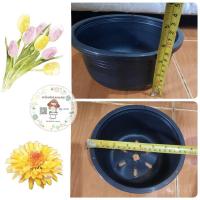 ราคา กระถางกลมดำ 7 นิ้ว ทรงกลมเตี้ย กระถางเพาะเมล็ด ชำหน่อ ปลูกต้นไม้ทั่วไป (12003559328)