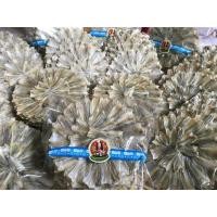 ราคา ปลากระดี่ ( 1 วง ) ปลากระดี่ตากแห้ง ตากแห้งมาก ปลาใหม่ สะอาด รสชาติไม่เค็มมาก (7949671500)