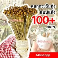 ราคา 145shopp ✿ ดอกกระถินทุ่งแห้ง มัดใหญ่ ได้ 100+ดอก ดอกไม้เเห้ง ดอกหญ้าแห้ง ใช้ตกแต่งเทียนหอม ทำของขวัญ หรือพร้อพถ่ายรูป (12128927586)