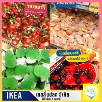 ราคา ใหม่!! เยลลี่แปลก IKEA เยลลี่อิเกีย ต้องลอง อร่อยเหาะ ไม่ลองไม่รู้ พร้อมส่ง มีบริการปลายทาง*** (14339580672)