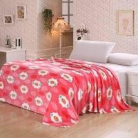 ราคา ผ้าห่มนาโน (490640944)