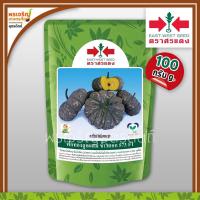 ราคา เมล็ดพันธุ์ฟักทอง ฟักทองข้าวตอก 573 F1 (100 กรัม) เมล็ดฟักทองศรแดง ฟักทองลูกผสม เมล็ดพันธุ์ผักสวนครัว ตราศรแดง (9931944828)