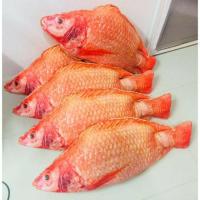 ราคา หมอนปลาทับทิม bringmehug ขนาด 1 เมตร หมอนอาหาร ของขวัญ ของฝากไม่ซ้ำใคร (1043308278)