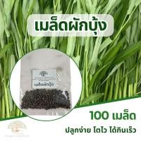 ราคา เมล็ดผักบุ้ง 100 เมล็ด (แบ่งขาย) (28273076413)