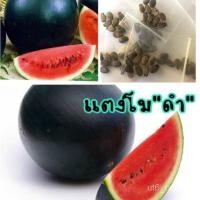 ราคา เมล็ดพันธุ์ แตงโมดำ (อเมริกา) Watermelon แตงโม (ซื้อ 10 แถม 1 คละอย่างได้)/ผักทอดกรอบ เมล็ดกล้วยด่าง wdYT (8296164151)