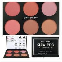 ราคา City color blush application (14352482)