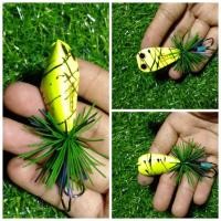 ราคา (1/ตัว)กบกระโดด ขนาดตัวเหยื่อ 4 เช็น ตัวเหยื่อทำจากไม้โมก ตัวเบ็ดขนาด1/o สำหรับตกปลาล่าเหยื่อ ช่อน ชะโด (16786452089)