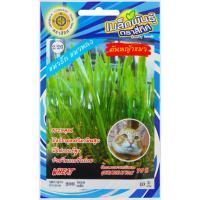 ราคา เมล็ดพันธุ์ ต้นหญ้าแมว ตราสี่ทิศ (27275466747)