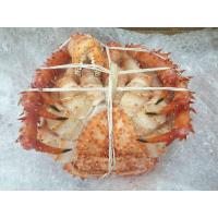 ราคา ปูยักษ์ frozen king crab Chili (13215236096)