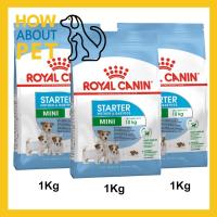 ราคา อาหารลูกสุนัขพันธุ์เล็กอายุ1-2เดือน และแม่สุนัขตั้งท้อง รอยัลคานิน สูตร Mini Starter เม็ดเล็ก 1กก. (3ถุง) Royal Canin St (12929925474)