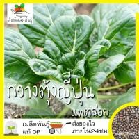 ราคา ผลิตภัณฑ์ใหม่ เมล็ดพันธุ์ เมล็ดพันธุ์คุณภาพสูงในสต็อกในประเทศไทยเมล็ดอวบอ้วน กวางตุ้งญี่ปุ่น แทตฉ่อย 150 เมล็ด T/ผักบุ้ง (18068120881)