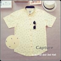 ราคา เสื้อเชิ้ตแขนสั้น ผ้า Oxford ลายแมงปอ สีเหลือง มีไซส์ถึง 4XL (1329071211)