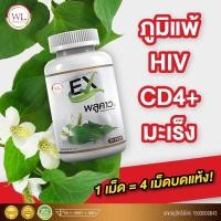 ราคา พูลคาวเพิ่มภูมิ-ภูมิแพ้-มะเร็ง-HIV-CD4+ (18926483550)