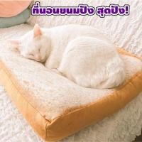 ราคา Bread Bed - เบาะขนมปัง ที่นอนหมาแมวขนมปัง ที่นอนสุดปังสำหรับสัตว์เลี้ยง หลับสบาย เก๋ไก๋ไม่เหมือนใคร ทำความสะอาดง่าย (7652862456)