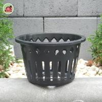 ราคา กระถางปลูกกล้วยไม้ กระถางกล้วยไม้ แบบกลม 8นิ้ว50 ใบ (18813202400)
