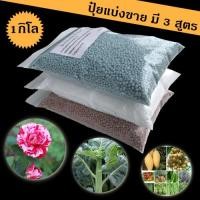 ราคา ปุ๋ยแบ่งขาย 1 กิโล ยูเรีย ตรากระต่าย 46-0-0 ปุ๋ยสูตรเสมอ ตรากระต่าย 15-15-15 ตรายาร่า 16-16-16 (7057662716)