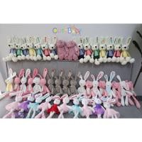 ราคา ตุ๊กตา ปักชื่อ กระต่ายเน่า ปักชื่อฟรีและเพิ่มไอคอนฟรี (4643908829)