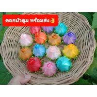 ราคา เหรียญโปรยทาน ดอกบัวตูมตัวเปล่า คละสี 100 ดอก สามารถใส่เหรียญทีหลังได้ พร้อมส่ง (6211130744)