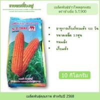 ราคา เมล็ดพันธ์ุข้าวโพดลูกผสม ฝักแฝด ตราช้างยิ้ม ST900 ขนาดบรรจุ10กก. เมล็ดพันธุ์ข้าวโพดอาหารสัตว์ ขนาดเมล็ด3.5หุน (16563854967)