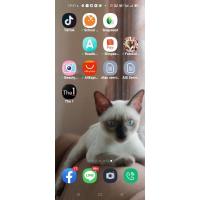 ราคา เห็ดมาริโอ้สีเหลือง Super Mario ป้ายชัด เนื้อแน่น (22141034118)