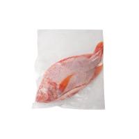 ราคา ปลาทับทิม (ไม่ขอดเกล็ด ผ่าท้อง ควักไส้) น้ำหนักเนื้อ 720-800 กรัม/ตัว 1 ตัว/แพ็ค (28889396506)