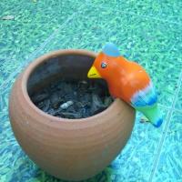 ราคา นกเกาะกระถาง (131790605)