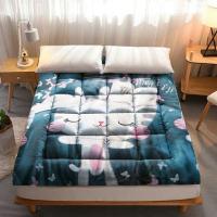 ราคา ท็อปเปอร์ขนห่านเทียมสีพื้น เปลี่ยนฟูกแข็งๆ ให้ฟูหนานุ่มในพริบตา mattress (7832225507)