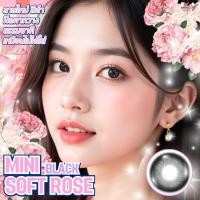ราคา คอนแทคเลนส์ LimitedขนาดมินิMini Soft Rose(Luxzylens)Brown / Gray / Black (29482296967)