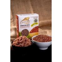 ราคา ข้าวสังข์หยดกล้องอินทรีย์ตราวิบูลย์พันธ์ (2970518445)