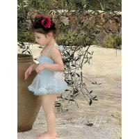 ราคา ชุดว่ายน้ําเจ้าหญิงสีฟ้า บิกินี่สําหรับเด็กผู้หญิง (44358812772)