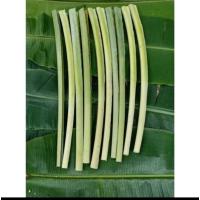 ราคา ก้านกล้วย/ก้านตองเก็บสด 1เซต5ชิ้น (29501605996)