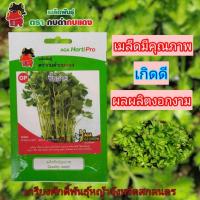 ราคา เมล็ดพันธุ์ผักขึ้นฉ่าย #ผักขื้นฉ่าย #เมล็ดพันธุ์ผักตรากบดำกบแดง#ผักซอง #เกรียงศักดิ์พันธุ์หญ้าสกลนคร (25643053002)