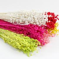 ราคา ดอกไม้อะคาเซียแห้ง 80 กรัมขายส่งโรงงานจัดหาโดยตรงช่อดอกไม้หัวใหญ่สีสันสดใสวันวาเลนไทน์ช่อดอกไม้ใหญ่ (24888783901)