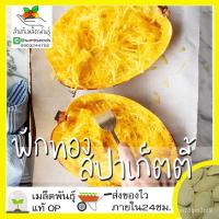 ราคา อินทรีย์็ด อินทรีย์็ด อินทรีย์ ฟักทองสปาเก็ตตี้ 10 อินทรีย์็ด spaghetti squash Seed อินทรีย์แท้ นำเข้าจากต่างปร ดอก้ (22432761380)