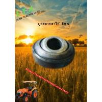 ราคา ลูกหมากตาไก่ 6 หุน 62313201 (29022947028)